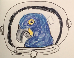 Space Parot